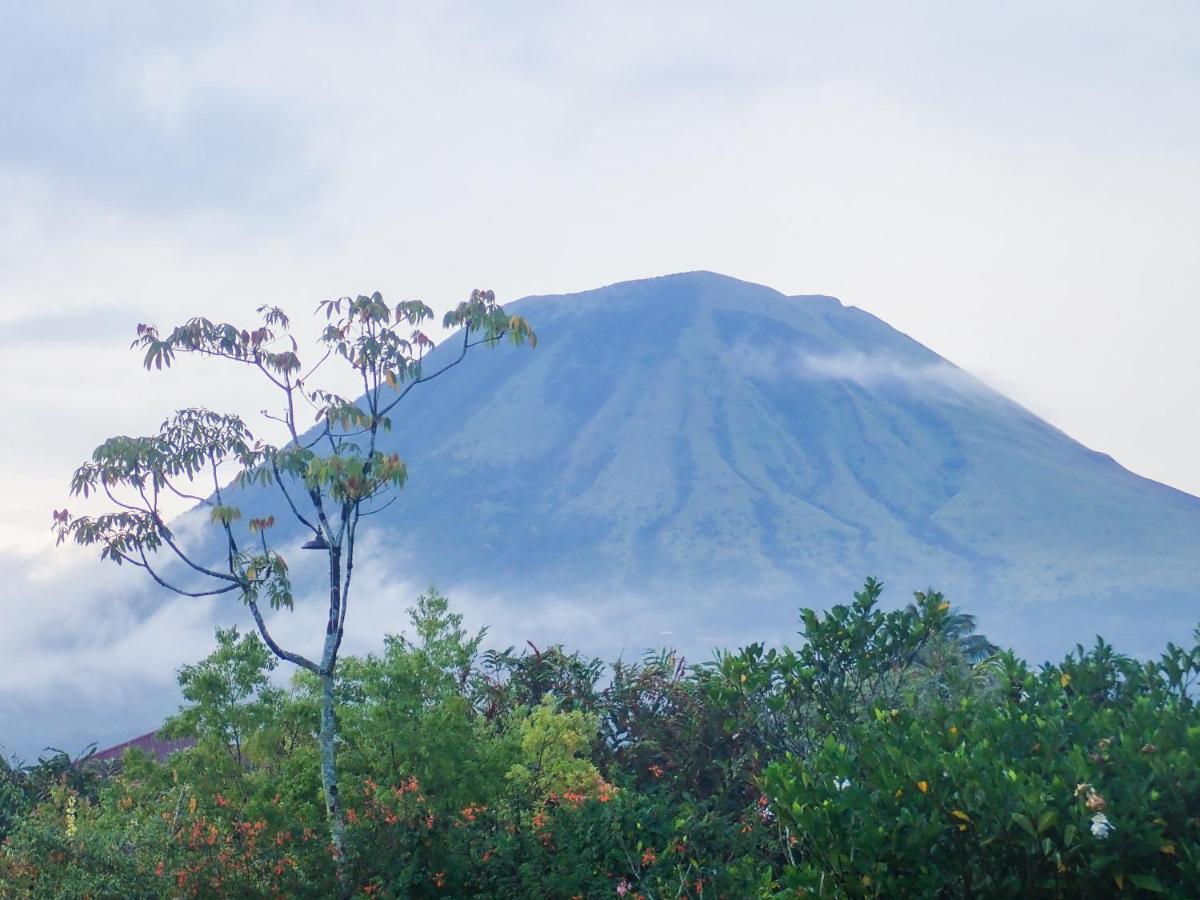 Murex Dive Resort Manado Dış mekan fotoğraf