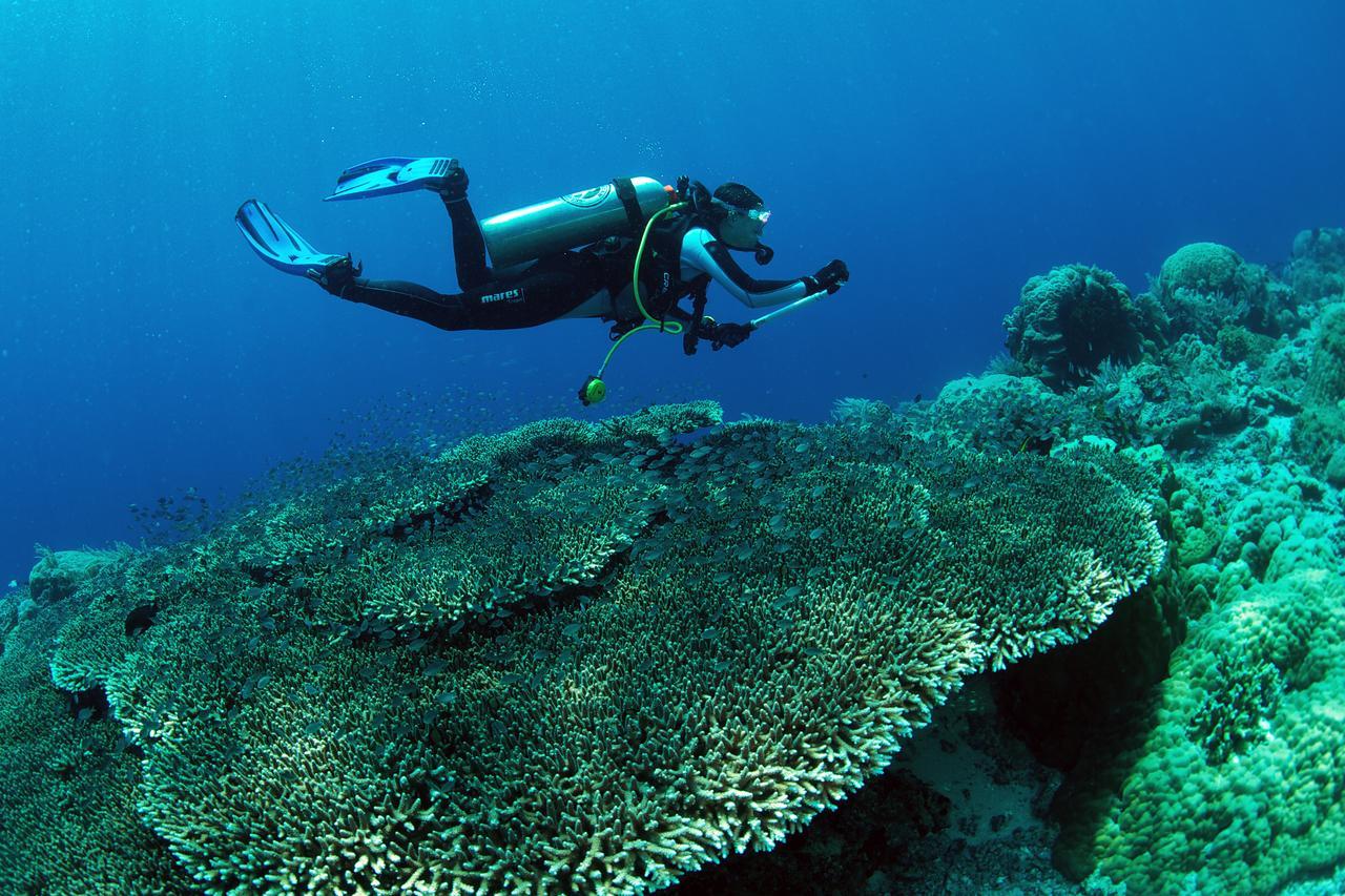 Murex Dive Resort Manado Dış mekan fotoğraf